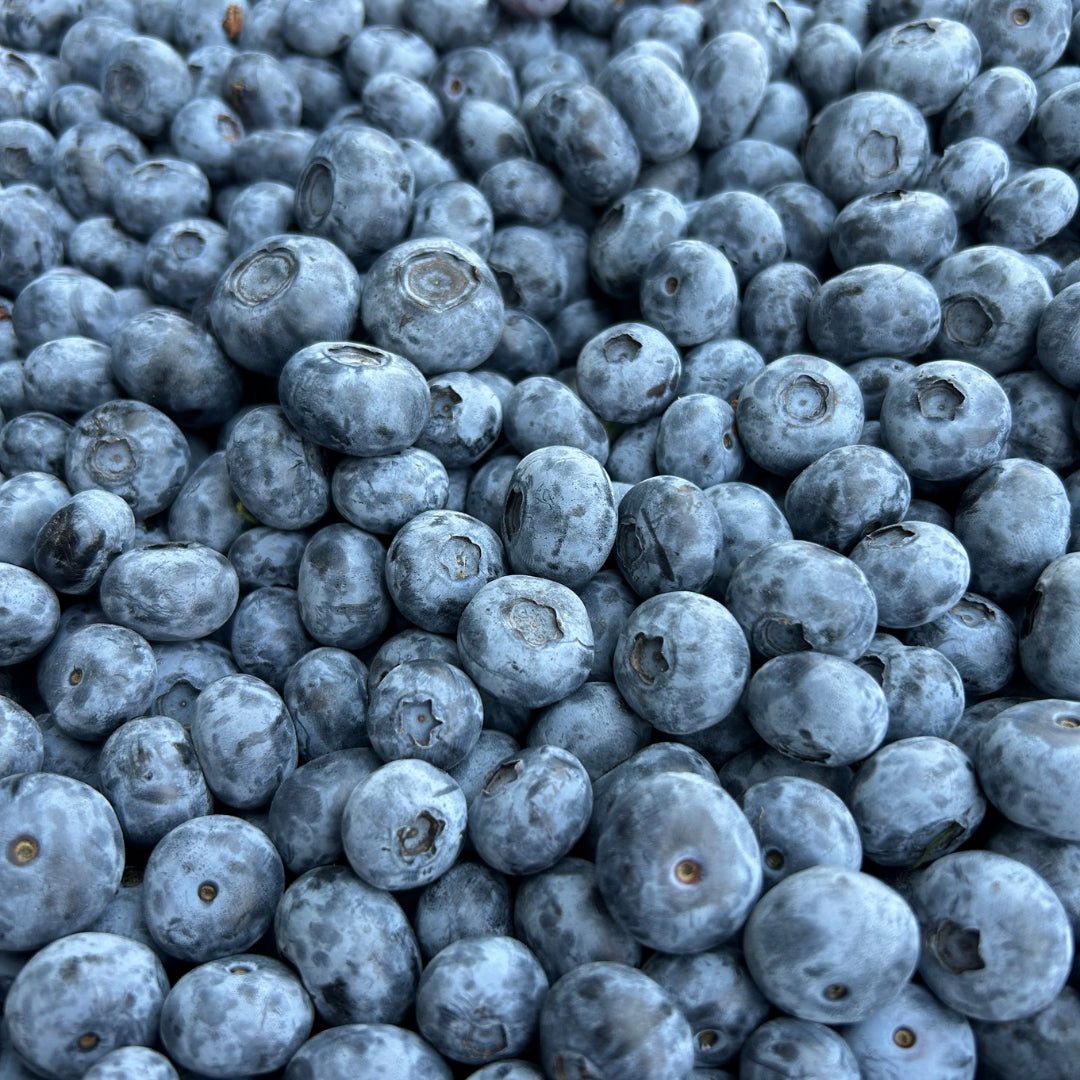 Frozen Blueberries