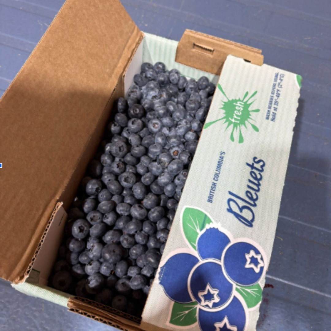 Fresh Blueberries (5lb)