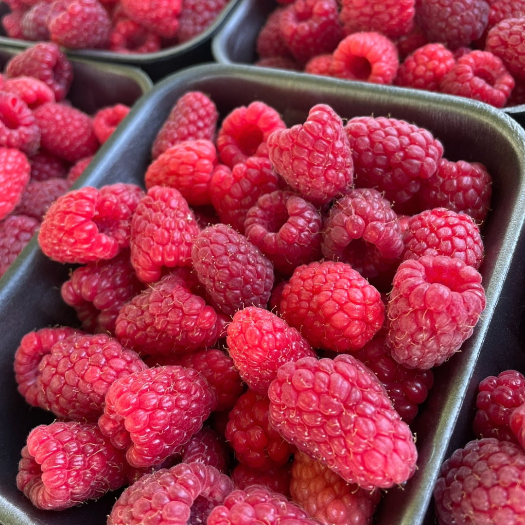 Fresh Raspberries(per lb)