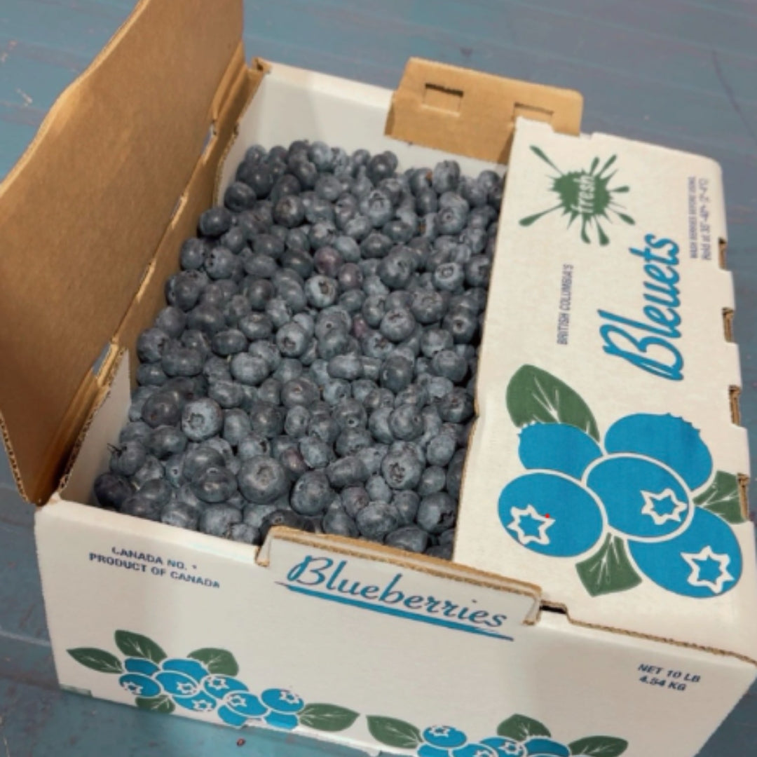 Fresh Blueberries (10lb)