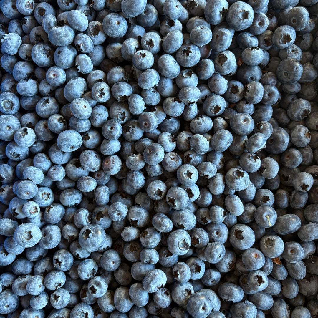 Frozen Blueberries