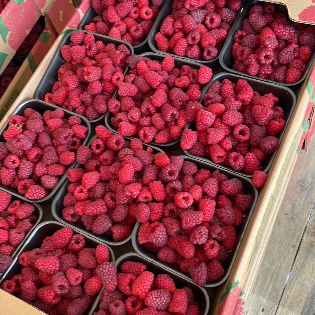 Fresh Raspberries(per lb)