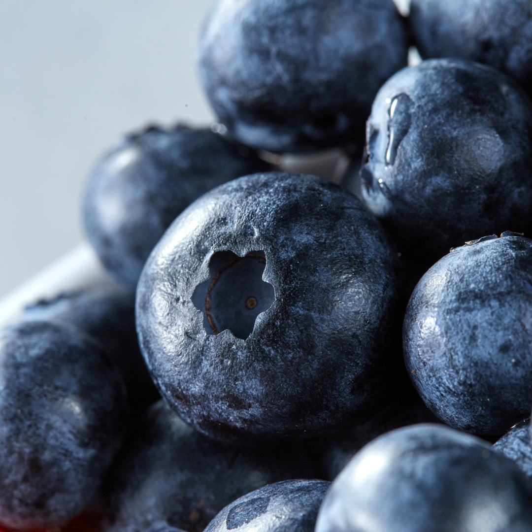 Fresh Blueberries(10lb)